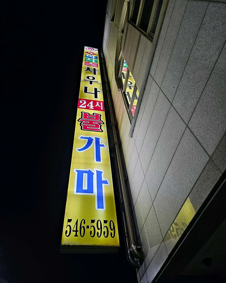 오아시스 사진