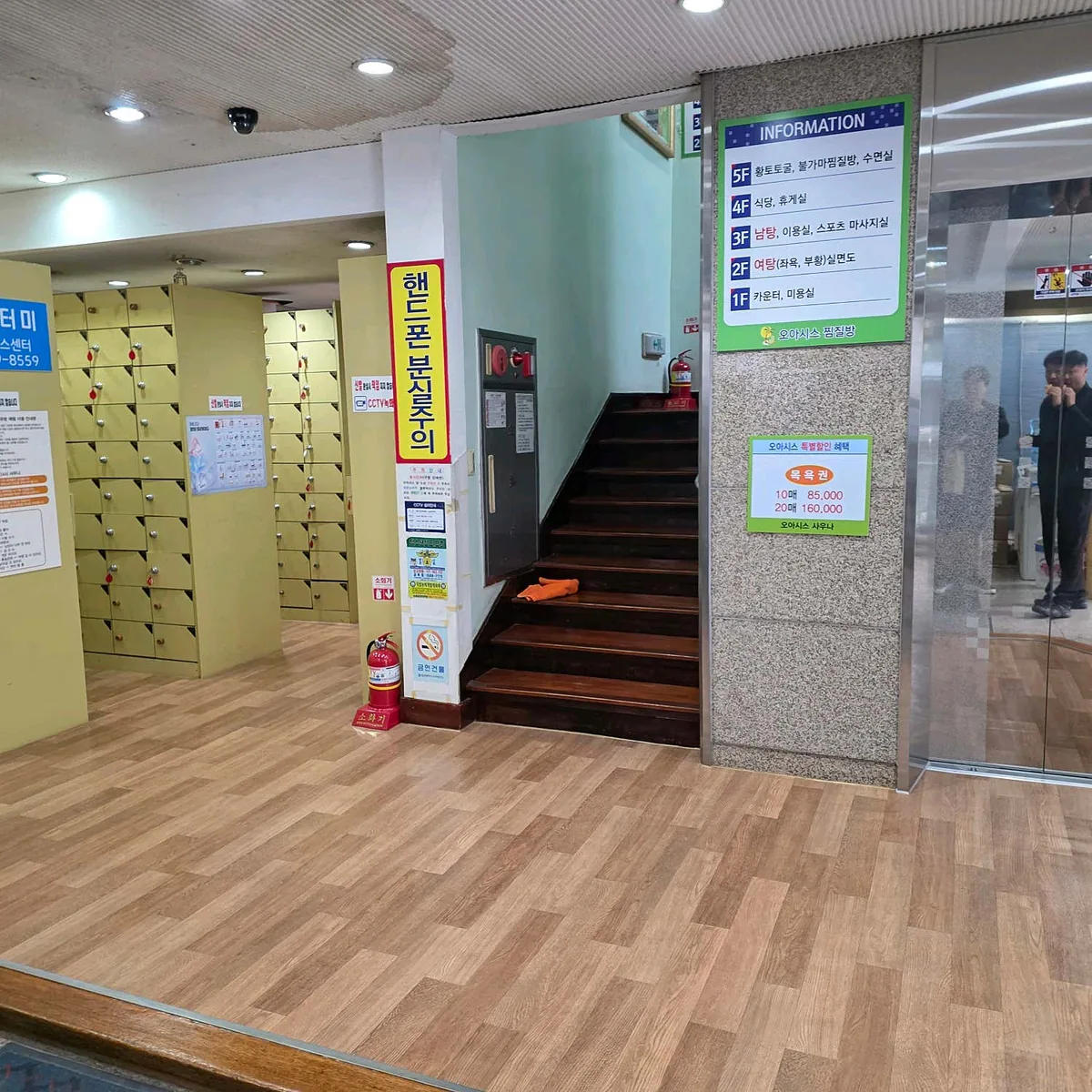 오아시스 사진