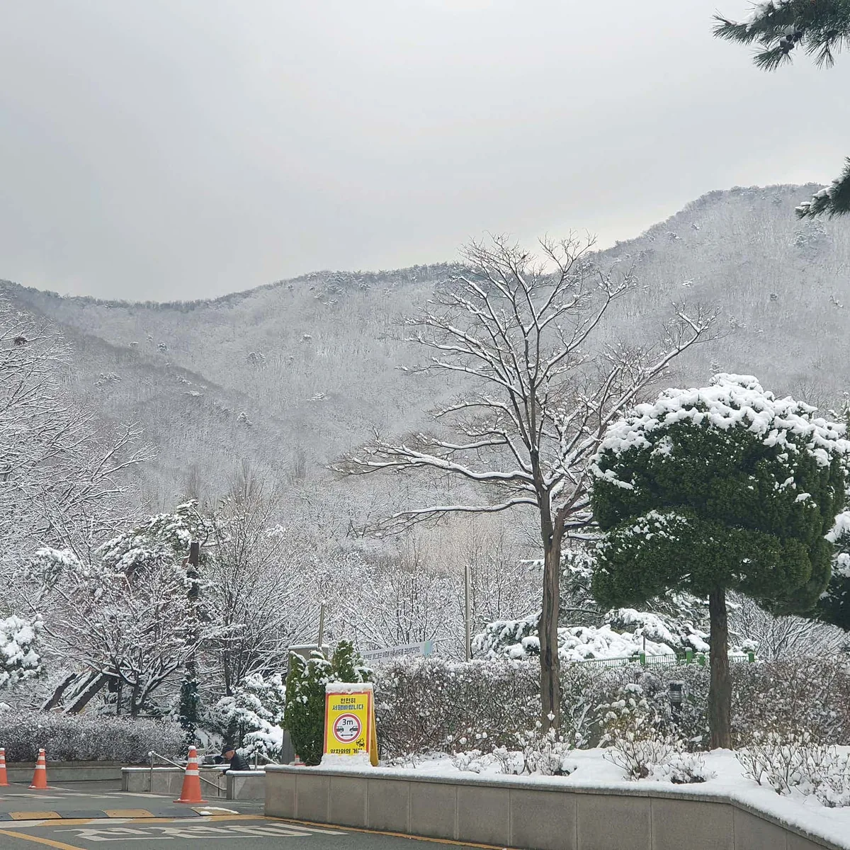 스포랜드사우나 사진