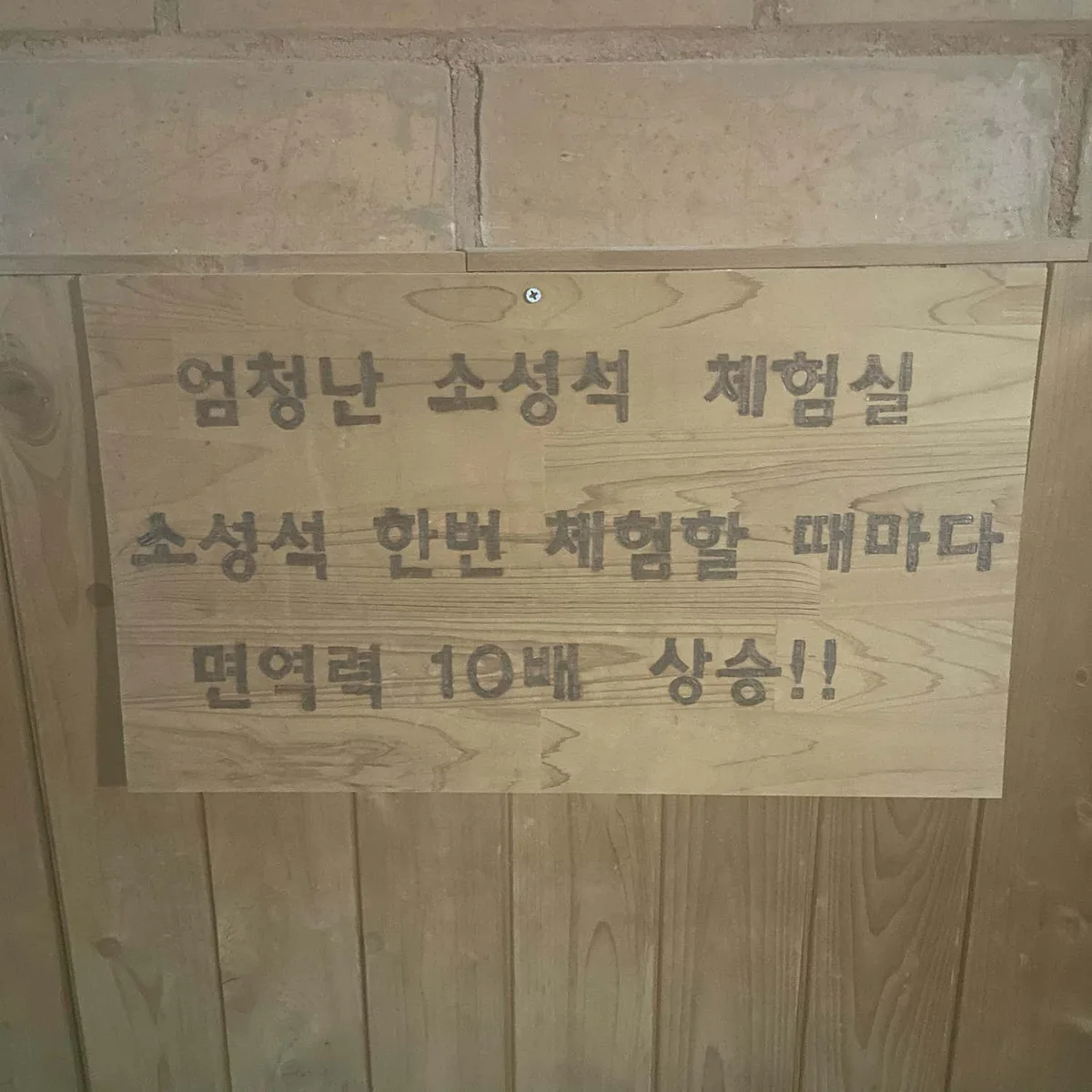 다모아사우나 사진