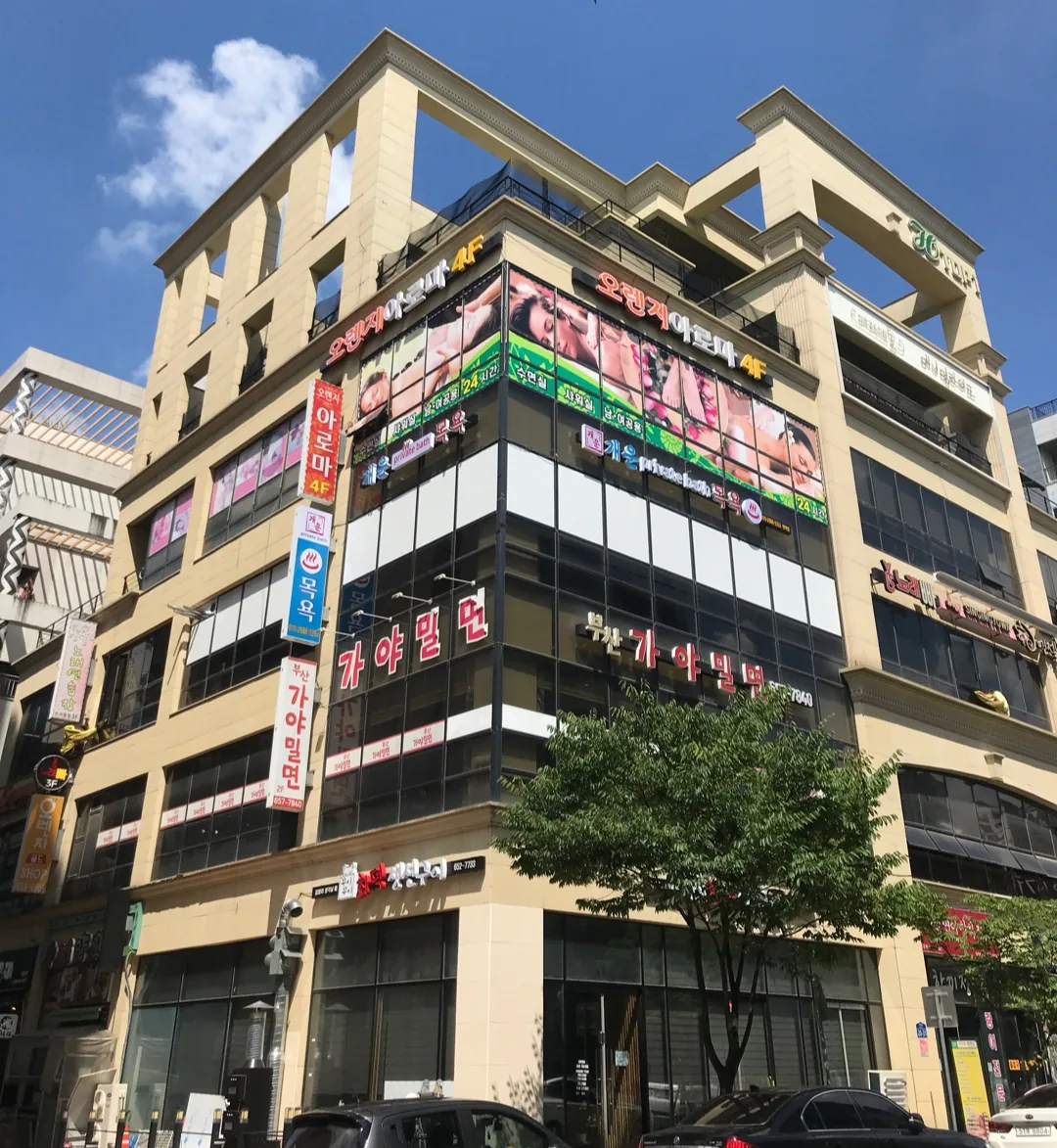 개운 사진
