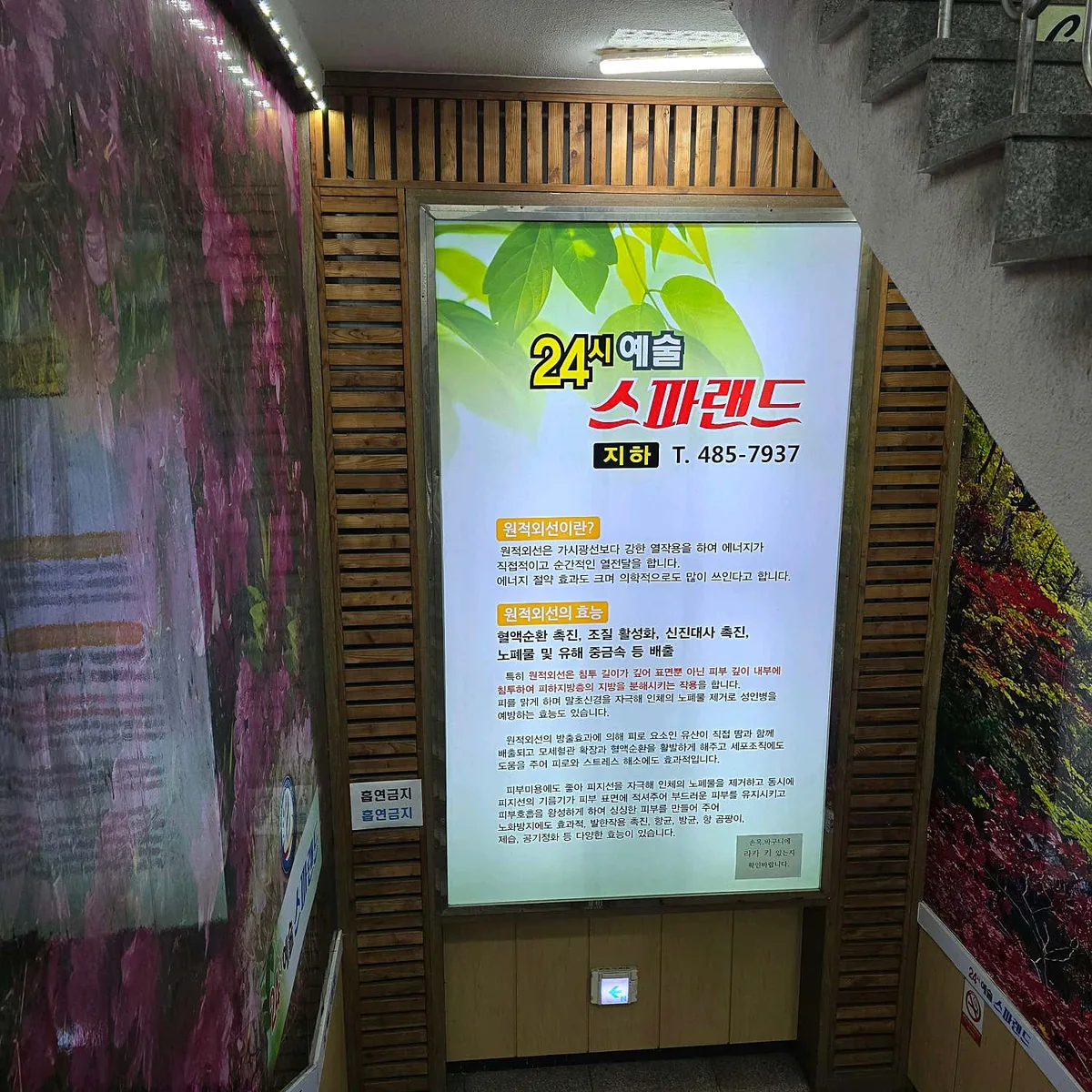 예술 스파랜드 사진