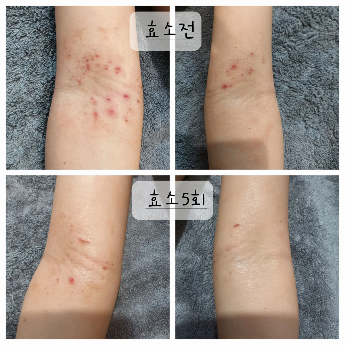 금화효소원 사진