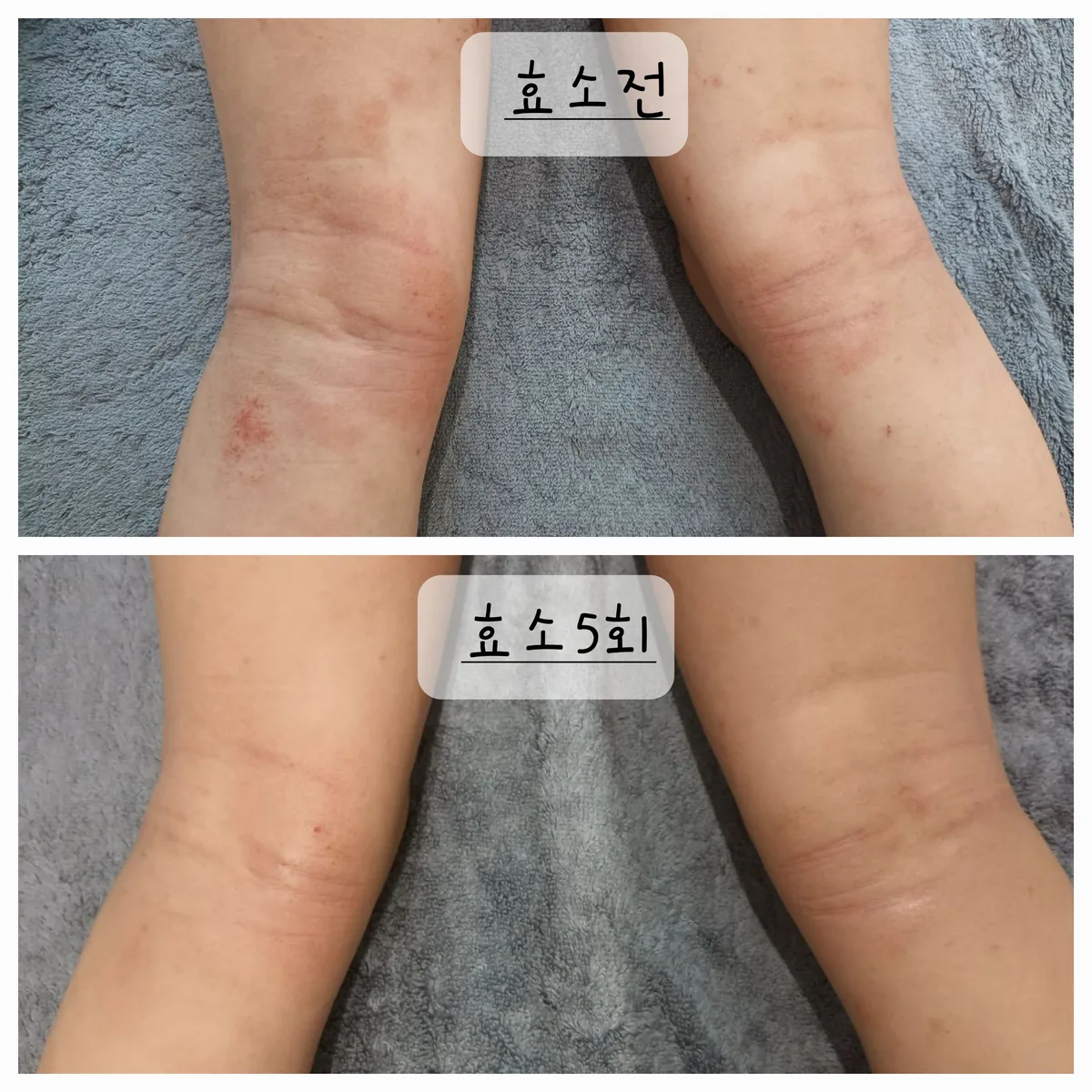 금화효소원 사진