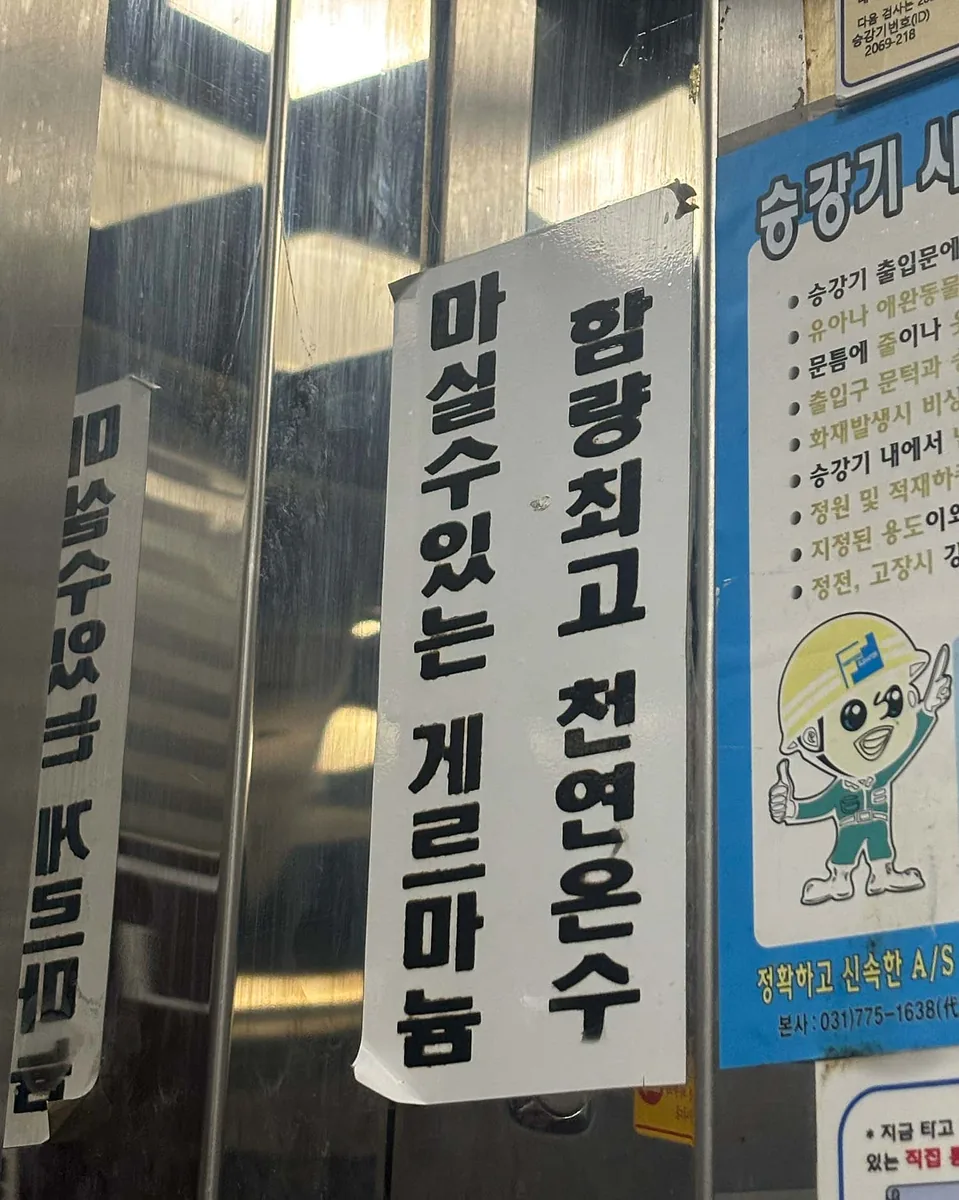 게르마니아 사진