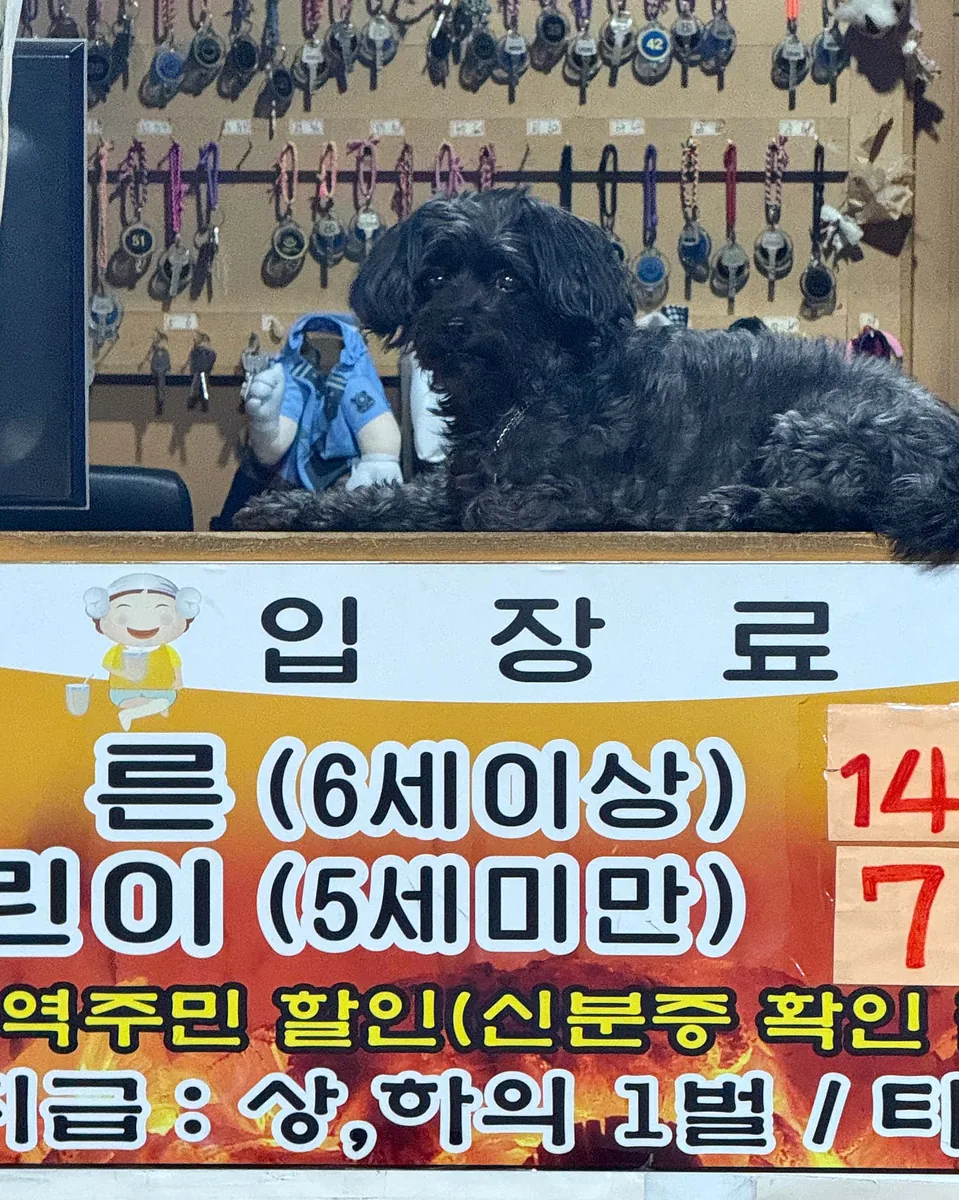 경포황토불한증막 사진