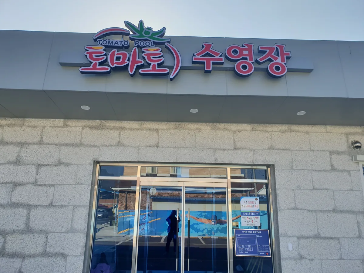 토마토수영장 사진