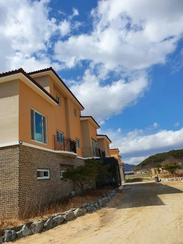 봉황 사진