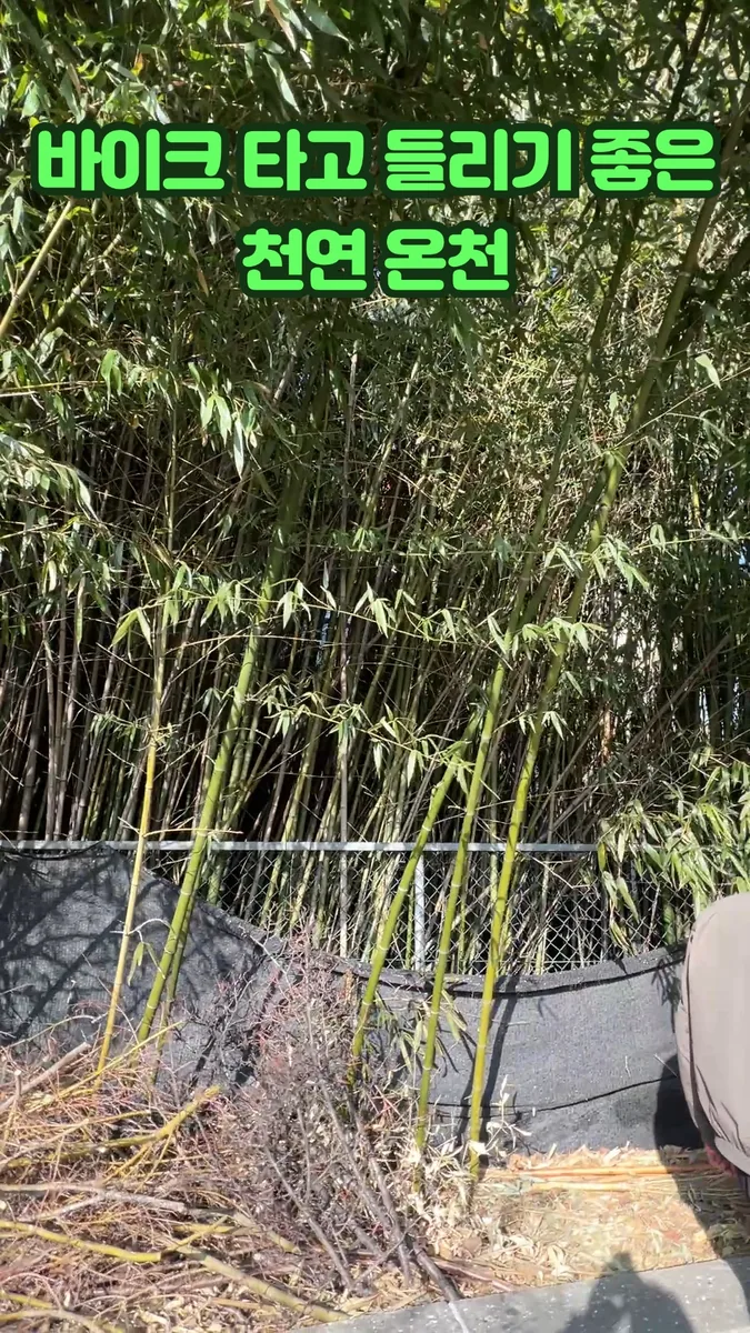 (주)온양관광호텔사우나 사진