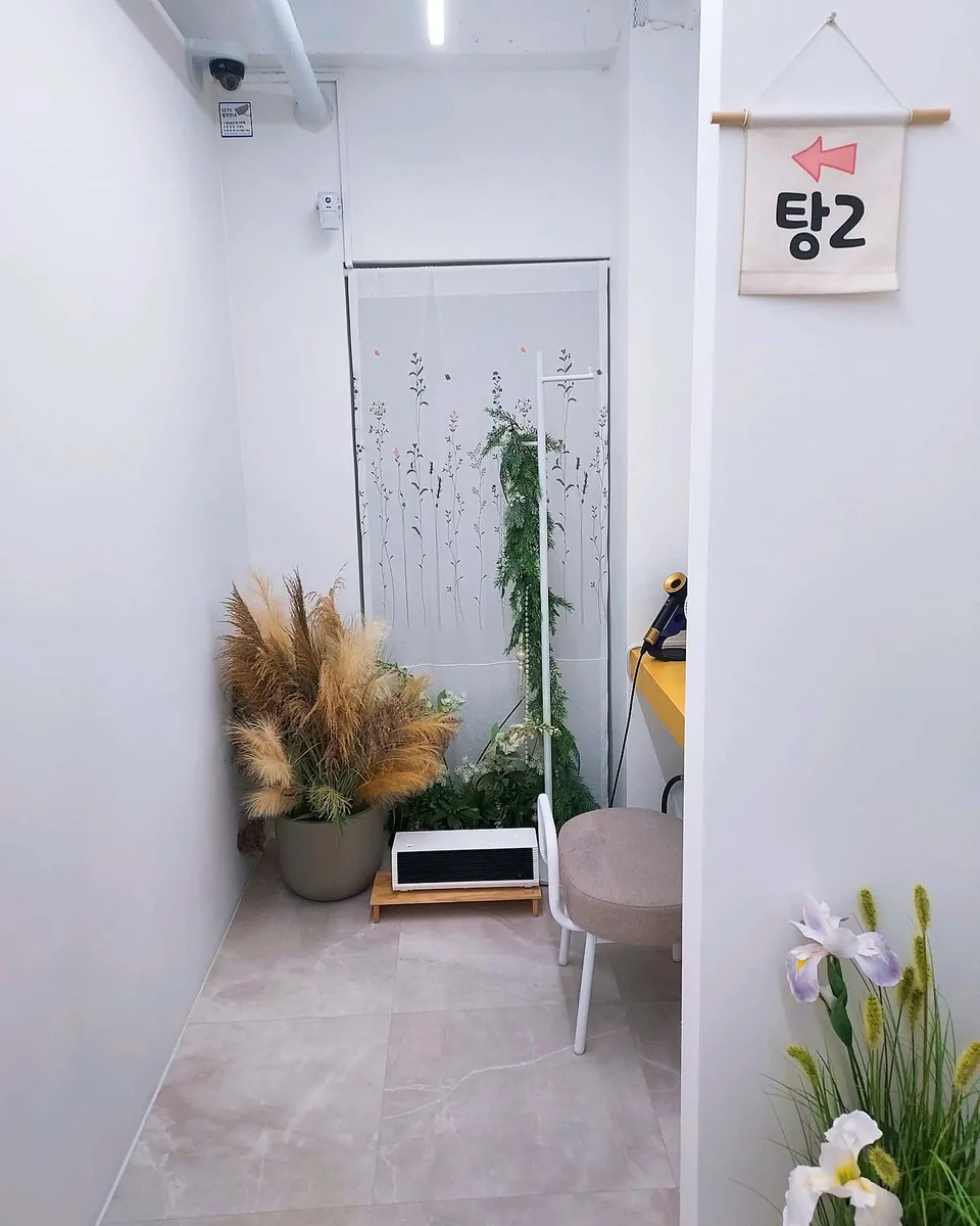 세신샵 봄날 사진
