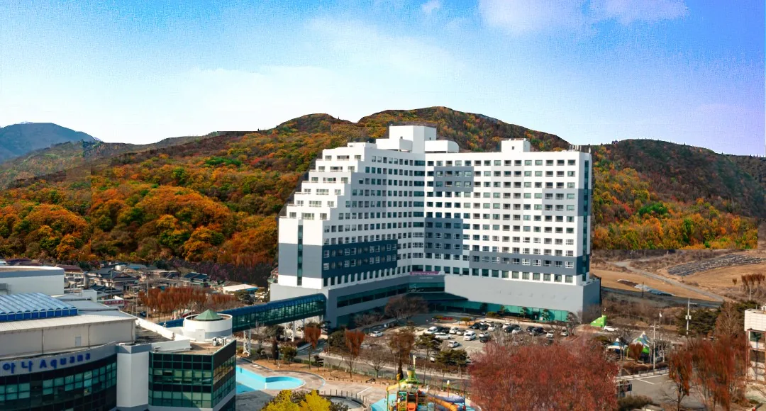 금호화순스파리조트 사진