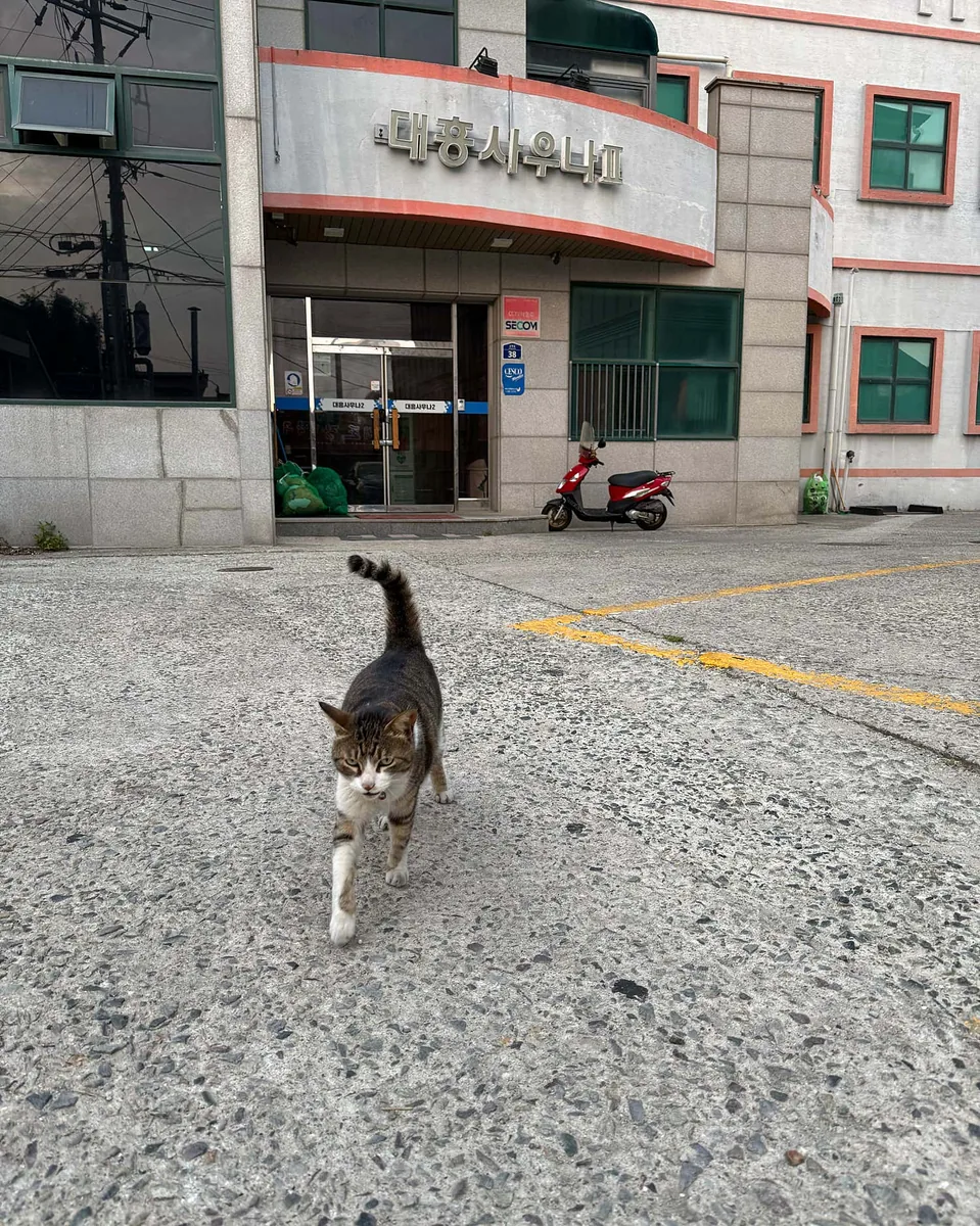 대흥사우나2호점 사진