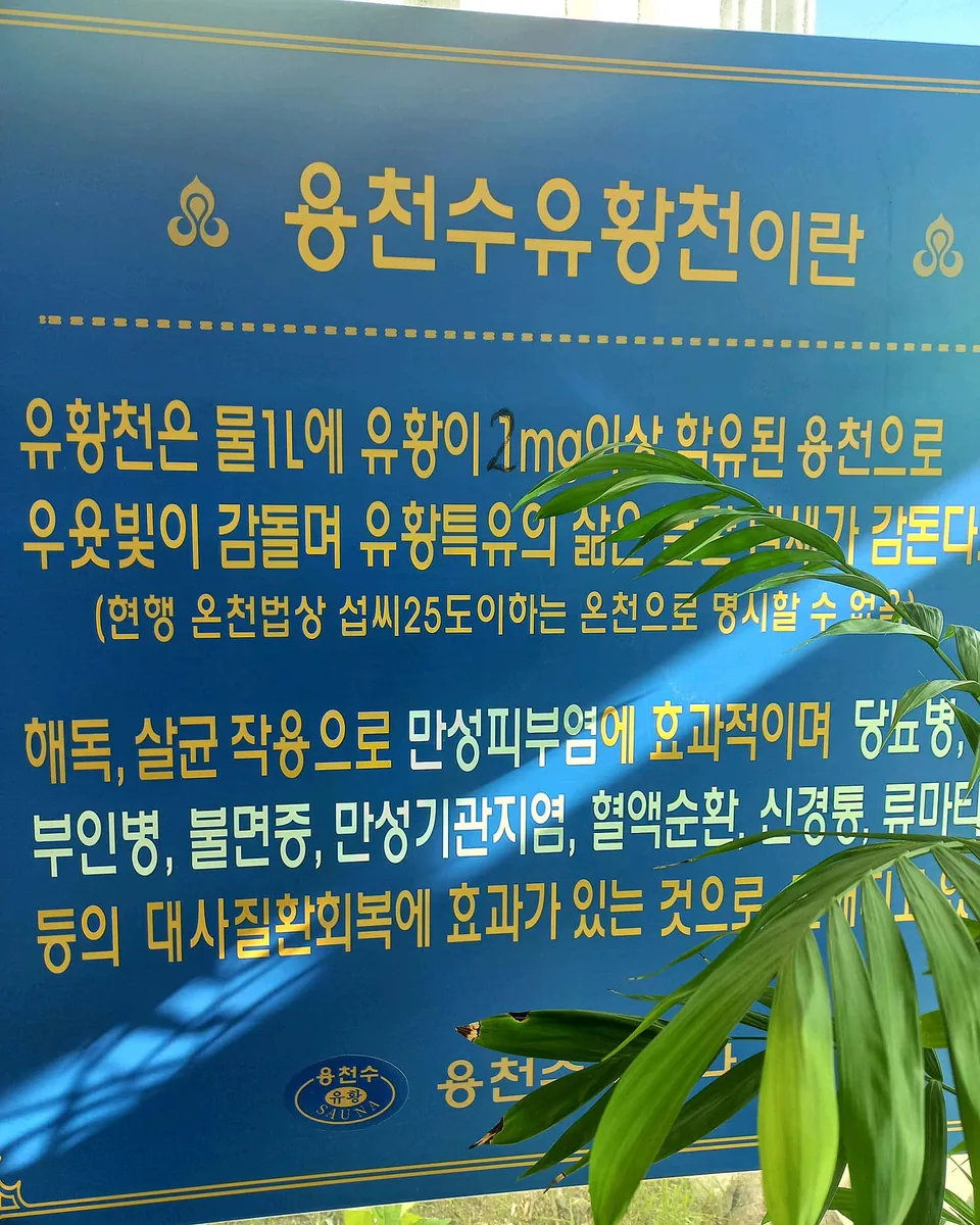 용천수유황천 사진