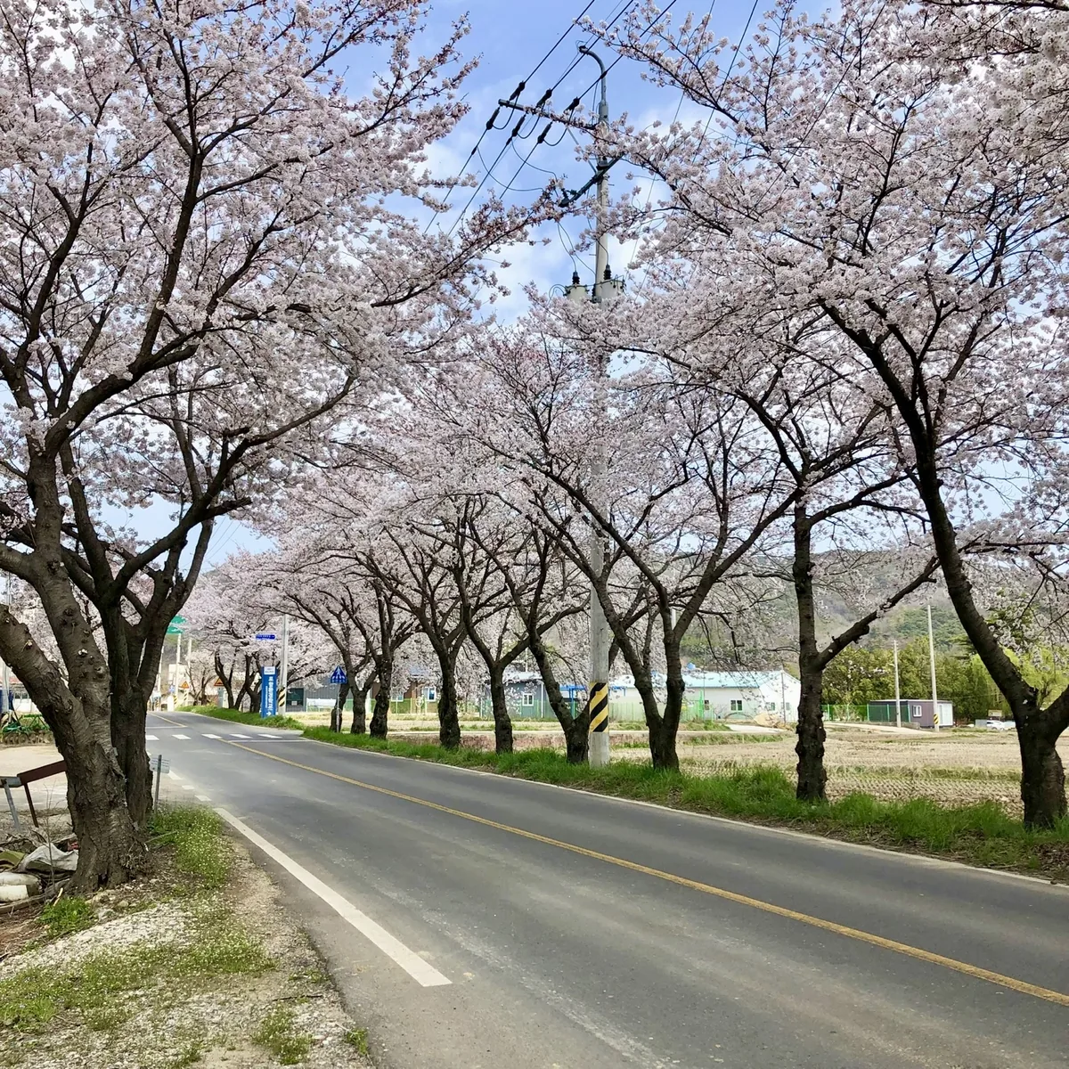 포항신광원탕 사진