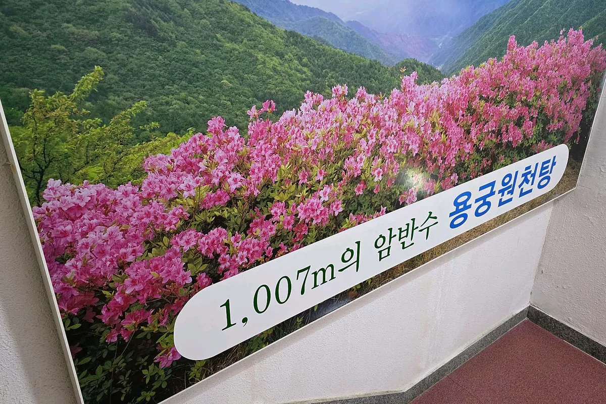 용궁원천탕 사진