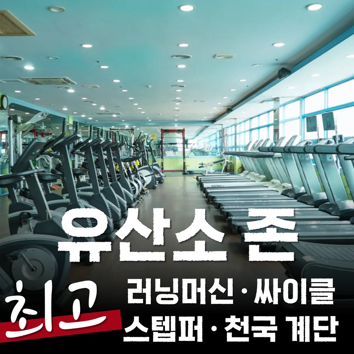 테마사우나 사진