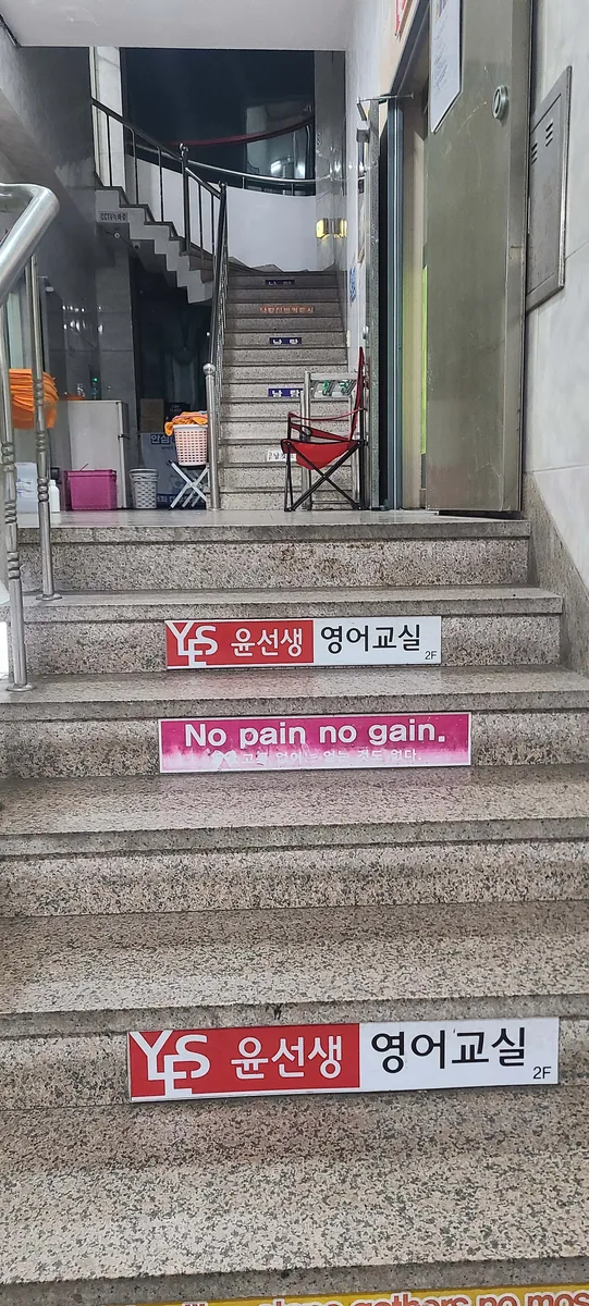 대우탕 사진