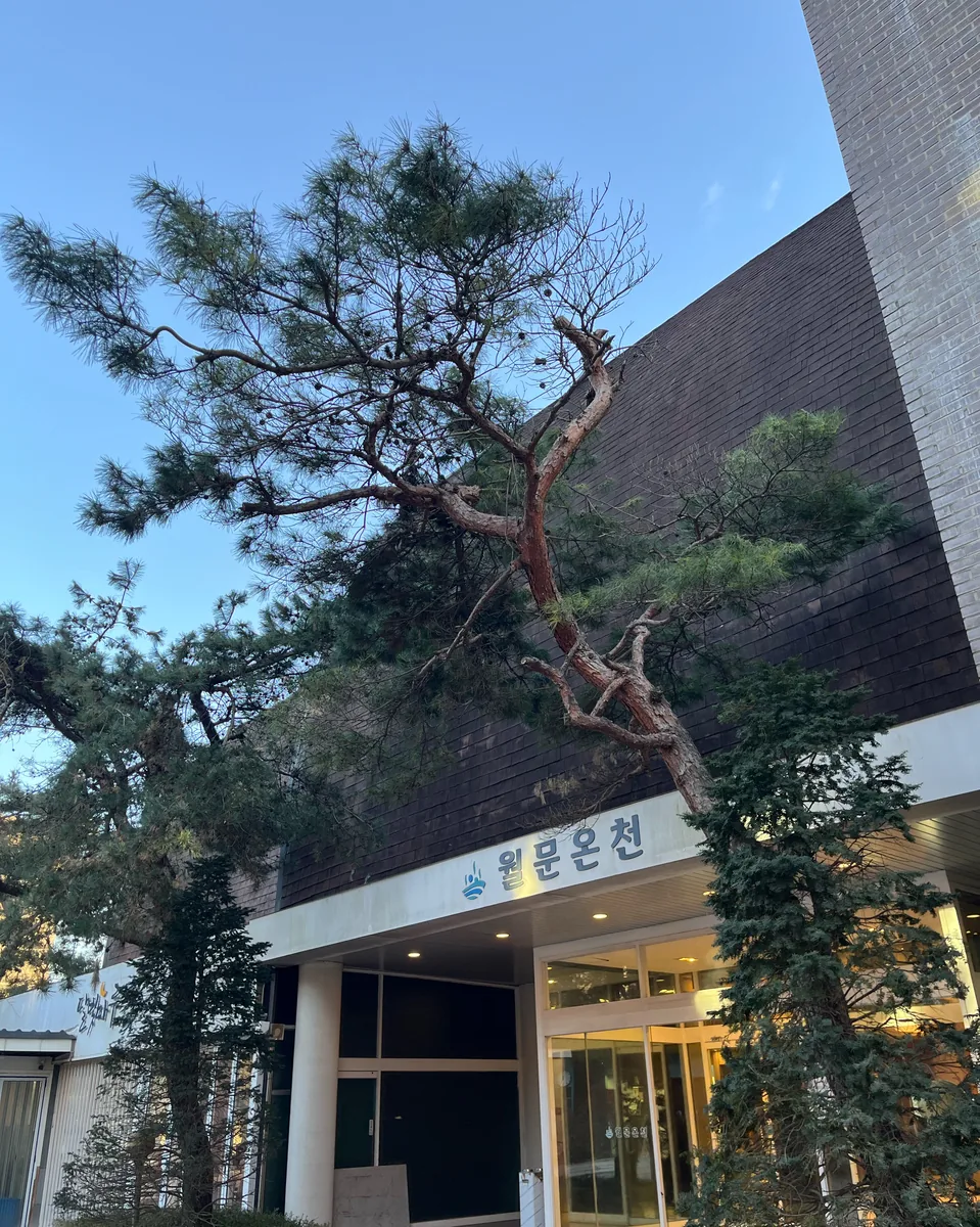 월문온천휴양지 사진