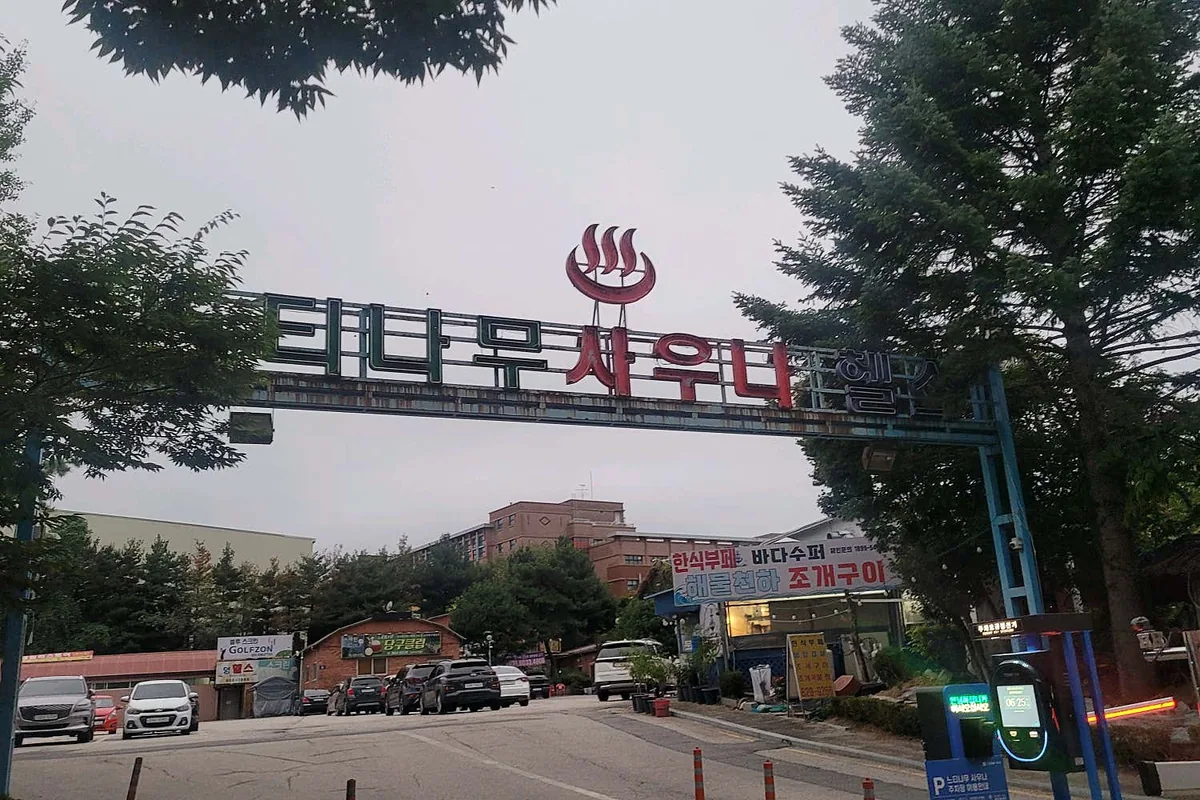 느티나무사우나 사진