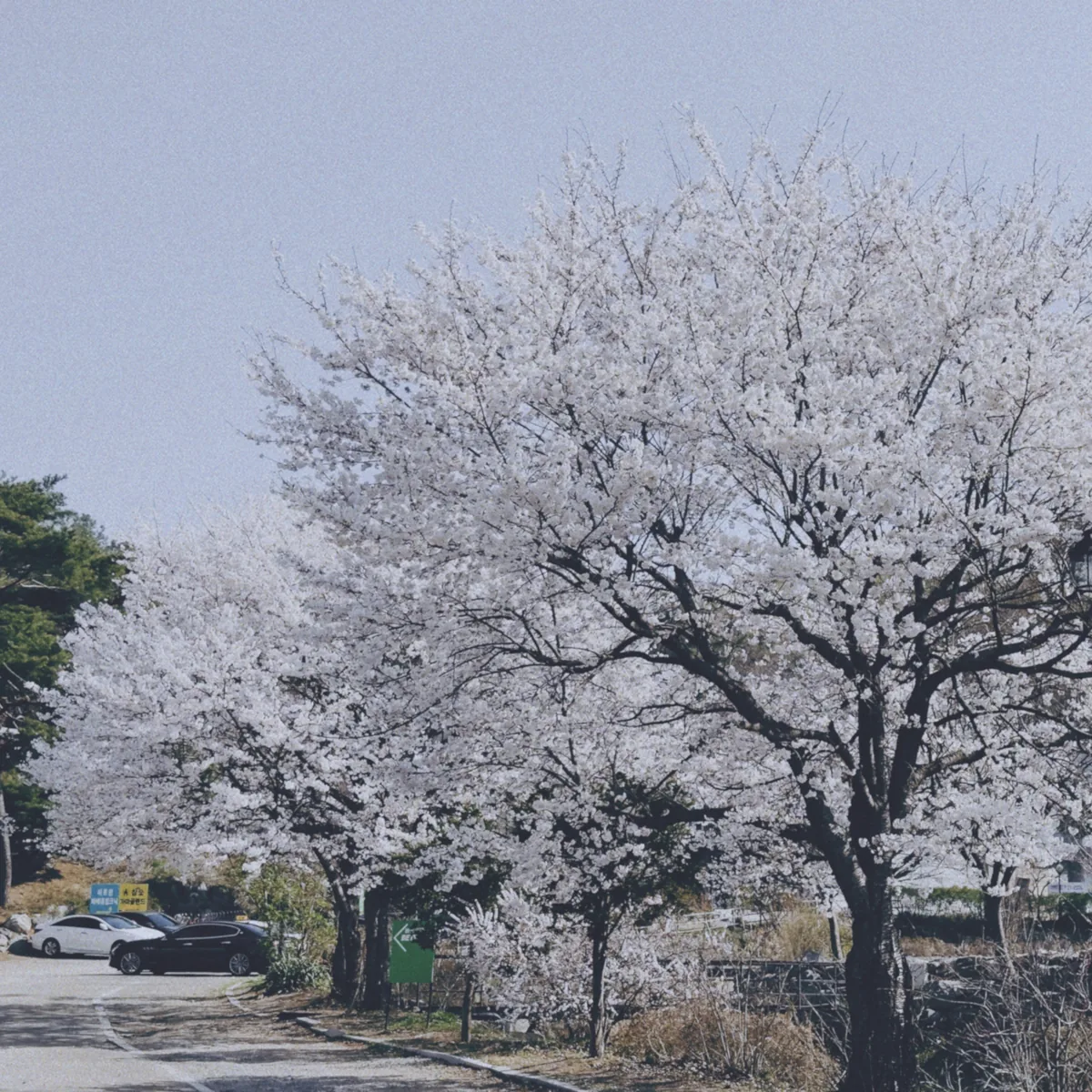 참숯가마골랜드 사진