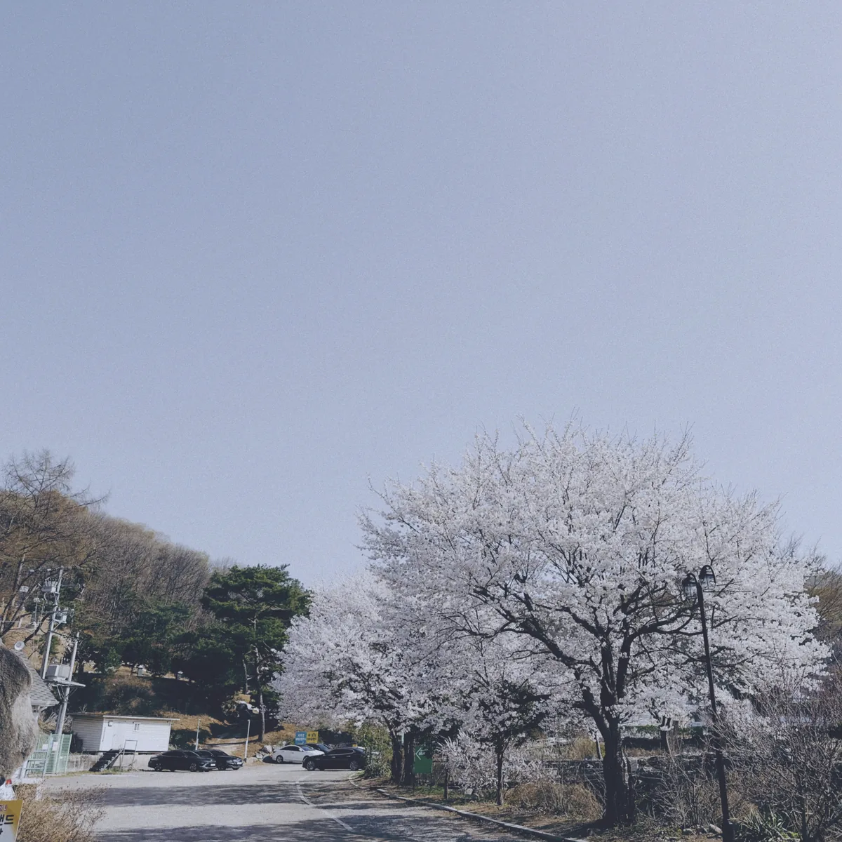 참숯가마골랜드 사진