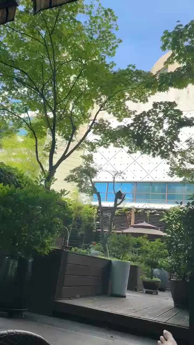 스파레이 사진