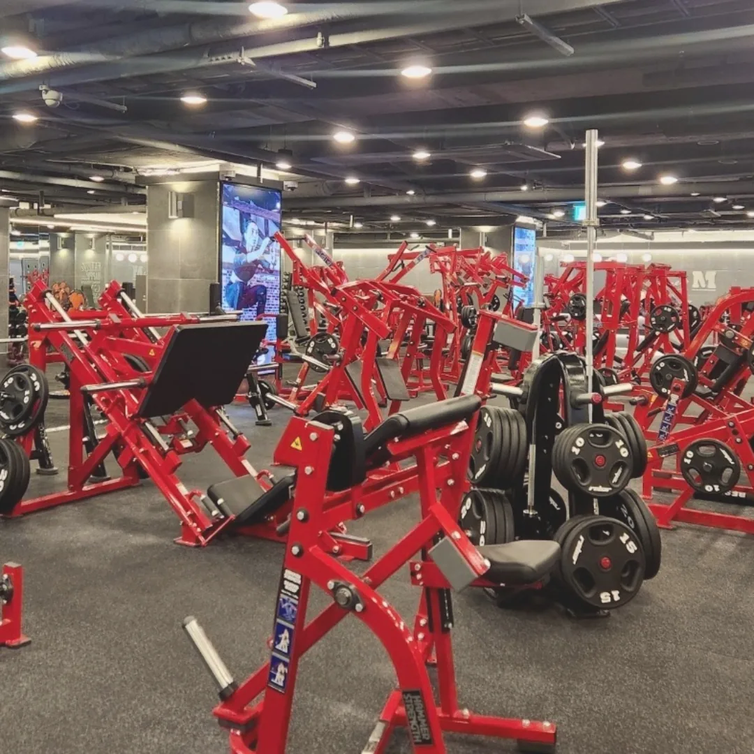 휘트니스엠 강남구청점 사진
