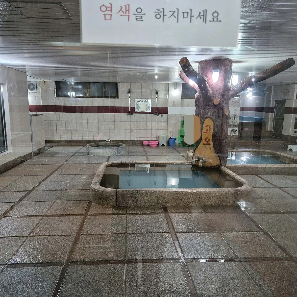 신현대탕 사진