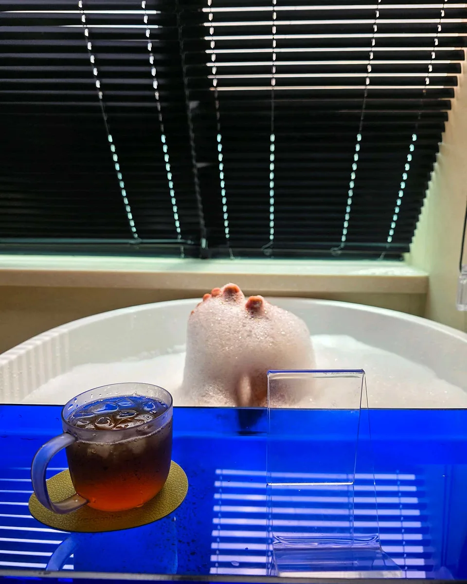 유라이크 사진