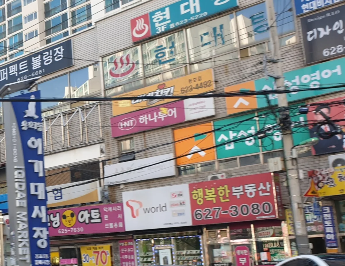 현대탕 사진